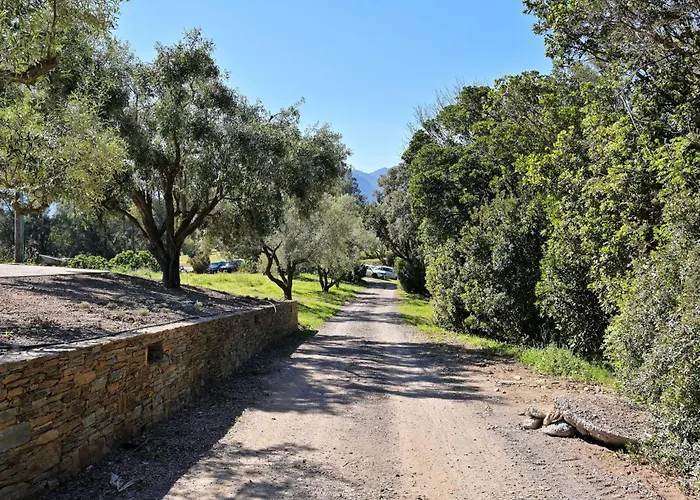 Weingut Punta Della Guardia Zwischen Und Gebirge By Interhome Vakantiehuis