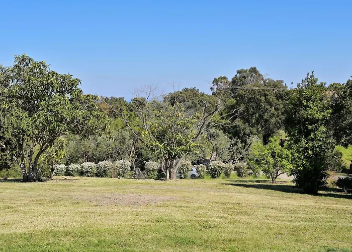 Vakantiehuis Weingut Punta Della Guardia Zwischen Und Gebirge By Interhome