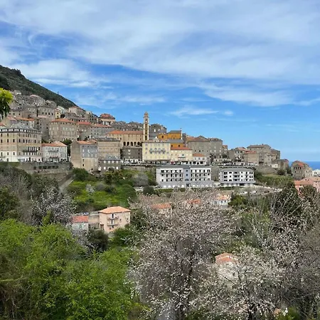 펜션 Weingut Punta Della Guardia Zwischen Und Gebirge By Interhome