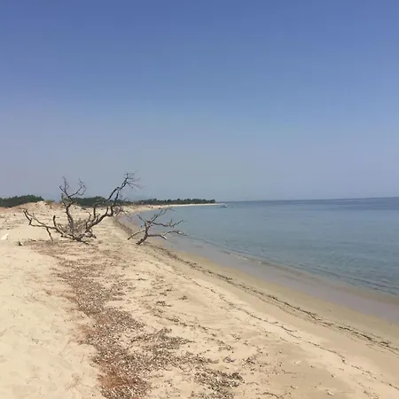 Holiday home Weingut Punta Della Guardia Zwischen Und Gebirge By Interhome *