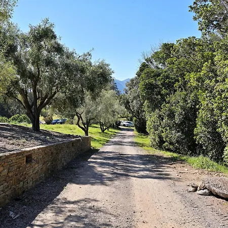 Weingut Punta Della Guardia Zwischen Und Gebirge By Interhome Holiday home