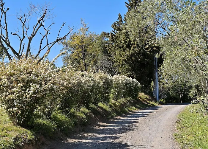 Hébergement de vacances Weingut Punta Della Guardia Zwischen Und Gebirge By Interhome