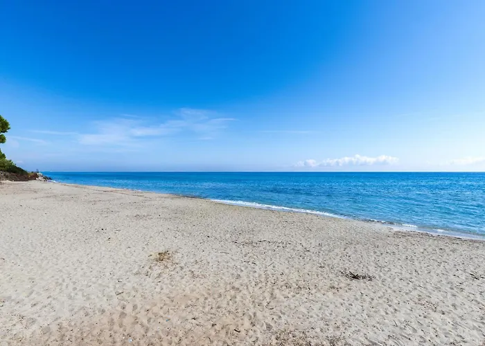 Weingut Punta Della Guardia Zwischen Und Gebirge By Interhome 세르비온